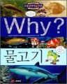 [å]Why? ()[ūå/庻](нȭ)